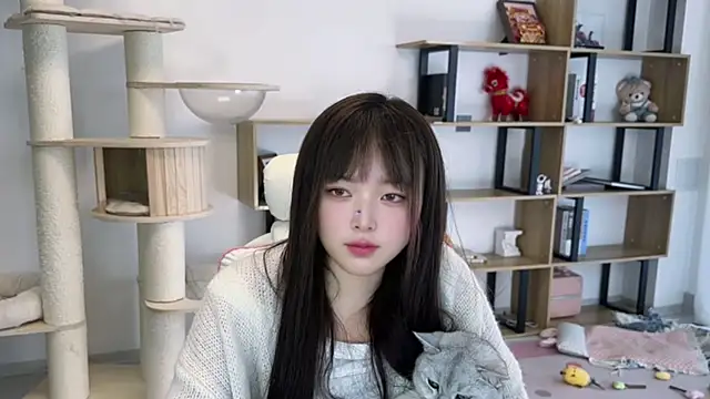 SakuraCat6 webcam