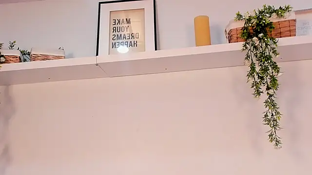 Nicolle_Evanss_ webcam