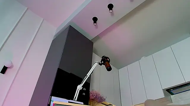 Yourfreebird webcam