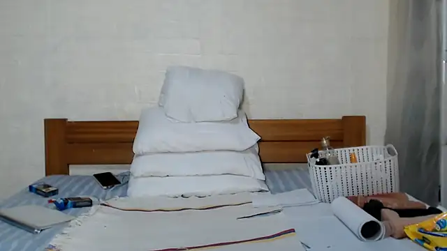 awild_kitten webcam