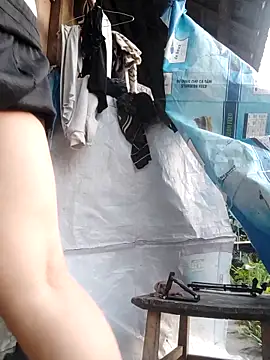 chekoko webcam