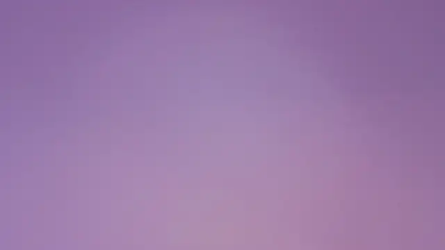 nova_salvatore webcam