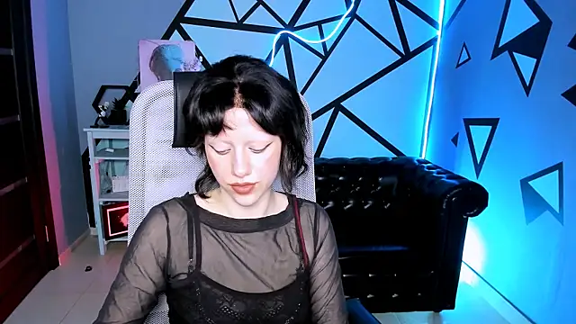 LidaDarknet webcam