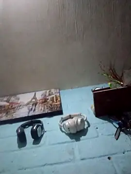 carlatransyjessi webcam