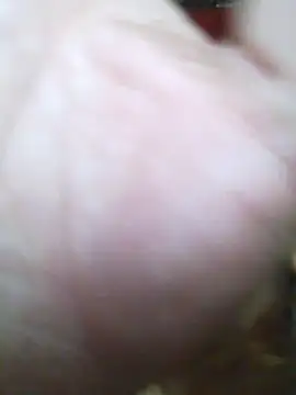cobrosdepagos webcam
