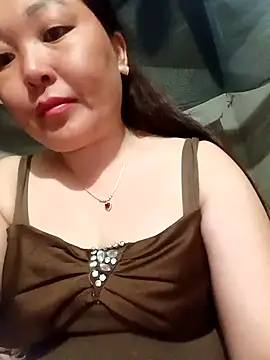 mptan73 webcam