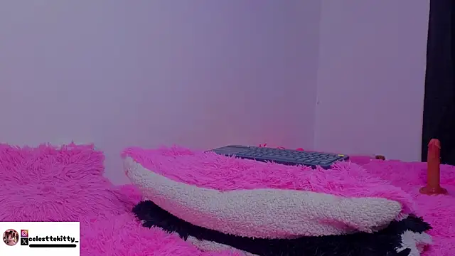 celestte_evans_1 webcam