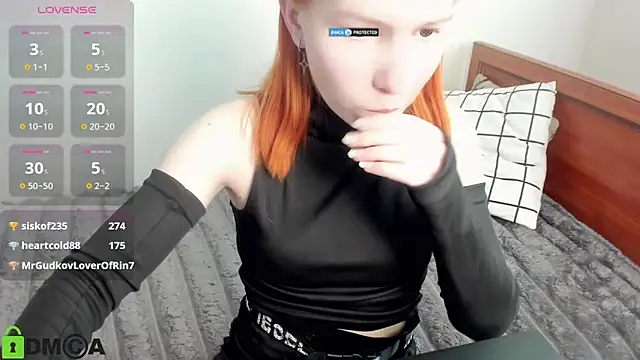 Vedime webcam