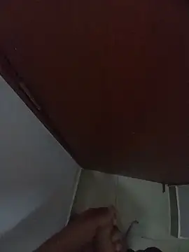 Chachiboo webcam