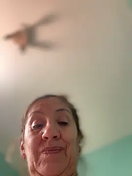 camelia3 webcam