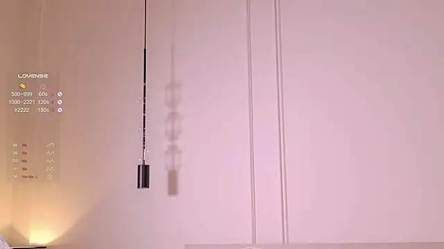 Rinas_secret webcam