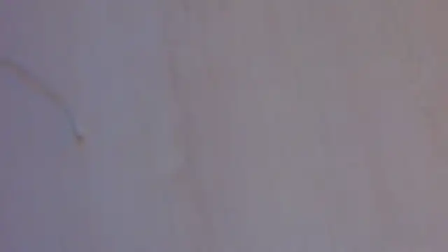 sinteas webcam