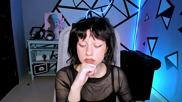 LidaDarknet webcam