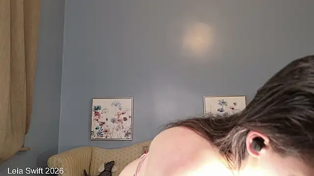 LeiaSwift
