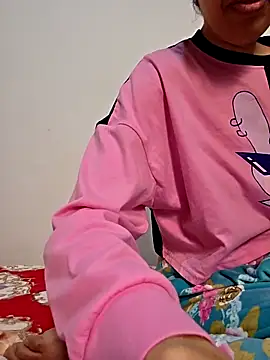 altinya webcam