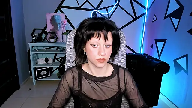 LidaDarknet webcam