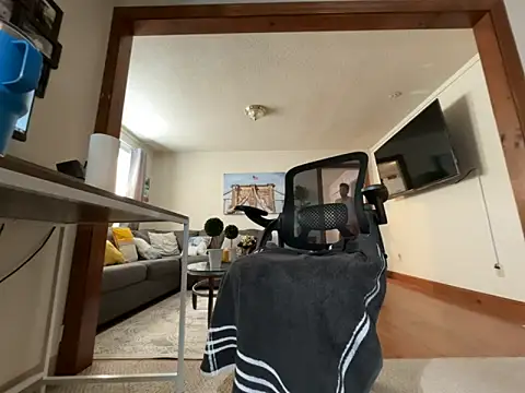 VelvetXL webcam