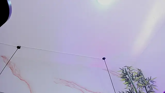 Ibbie_drastic webcam