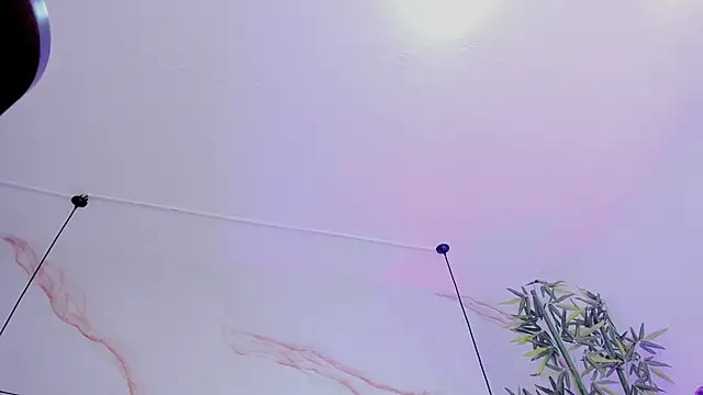 Ibbie_drastic webcam