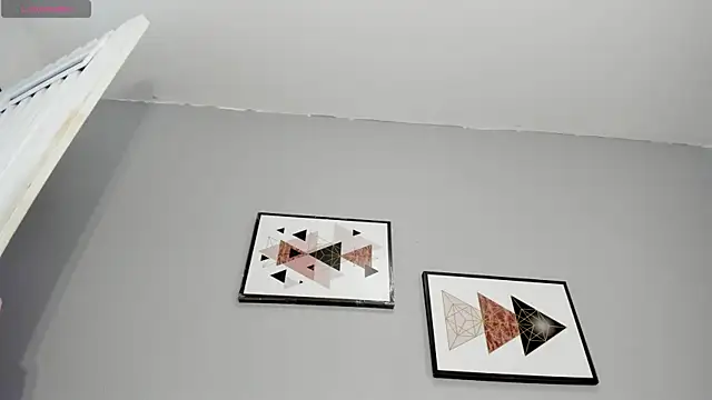 PauleteW10 webcam