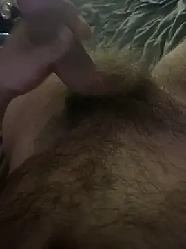 Dickmann18 webcam