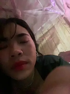 Nul_chal webcam