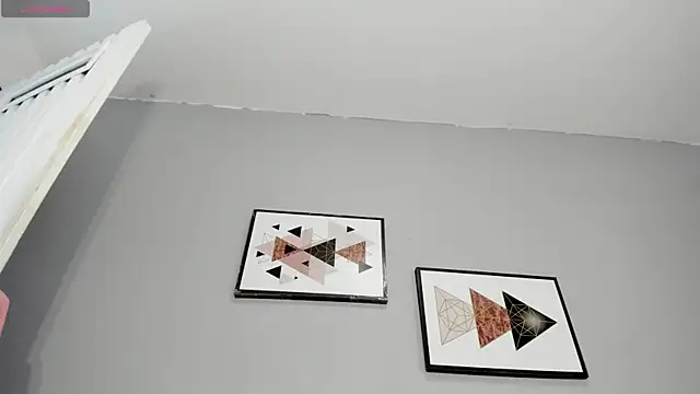 PauleteW10 webcam