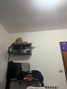 Lilyassjdhz webcam