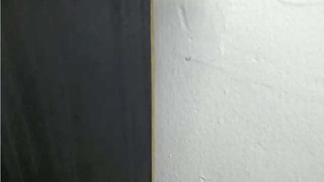 Raycatt1