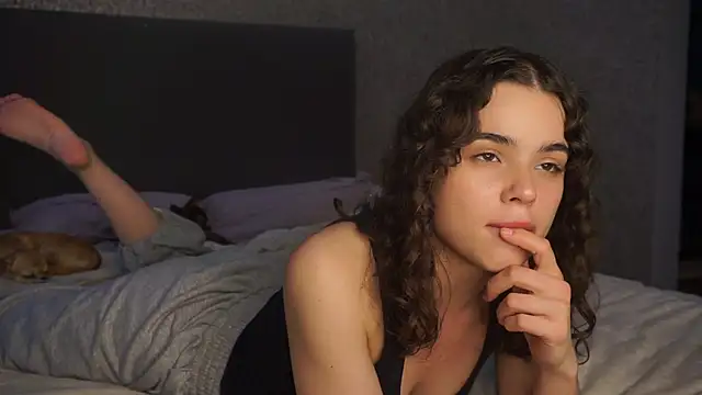 linclars webcam