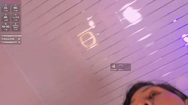 Daphne___ webcam