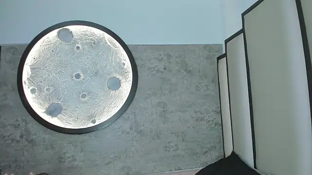 Velvet-Duo webcam