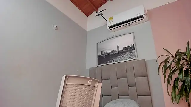 dyvis_22 webcam