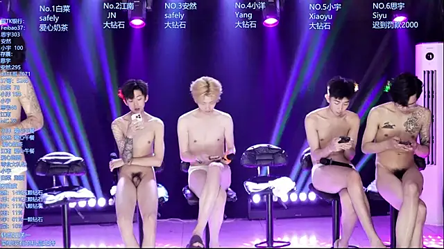 AOA-MIC webcam