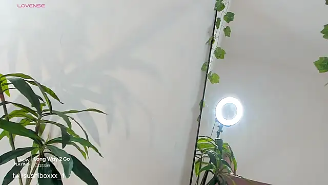 sushiboxxx webcam