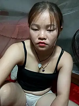 Lan_9x webcam