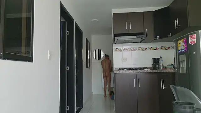 grey___27 webcam