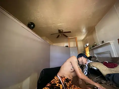 ThrowedWorldWide webcam