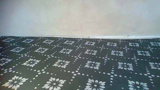 Rato250 webcam