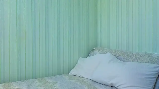 _Lily_ webcam