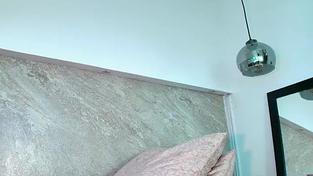 Dixie_grey1 webcam