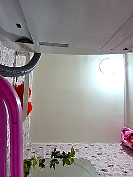 altinya webcam