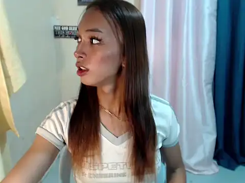 SimiLause webcam