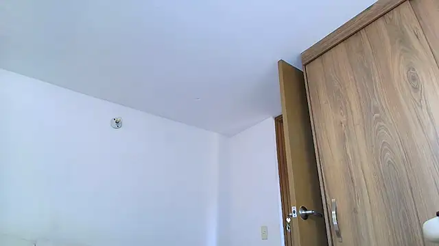 SARA_TS_FOX webcam