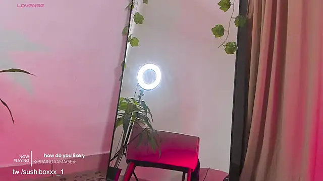sushiboxxx webcam