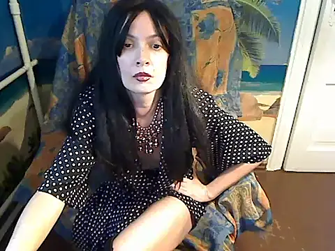 Bastet12 webcam