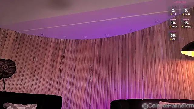 CelestePalmer_ webcam