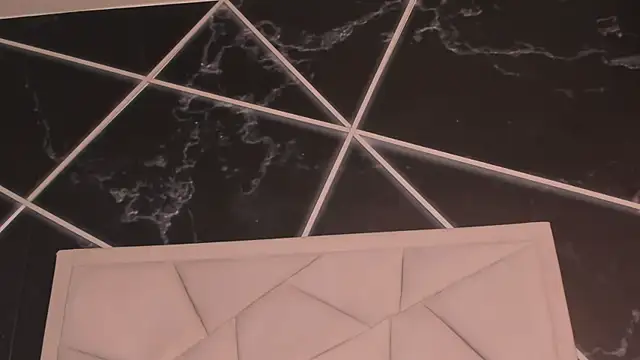AerumChae webcam