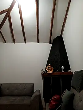 tata_sanz_ webcam