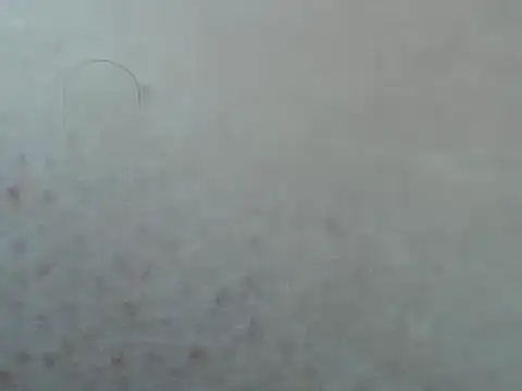 cheliafun - Cheliafun's free webcam - UK Sex Cams
